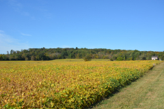 Cobean Farm gettysburg