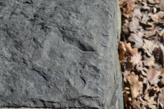 Dinosaur Footprints - Bridge over Plum Run