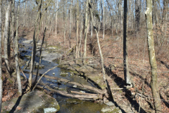 Dinosaur Footprints - Bridge over Plum Run