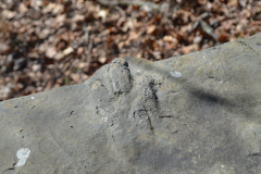 Dinosaur Footprints - Bridge over Plum Run