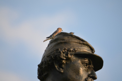 blue bird on abner doubleday monument  Gettysburg September 2013  Gettysburg Monument WXYZ