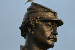 bluebird abner doubleday monument  Gettysburg September 2013