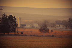 Eisenhower Farm