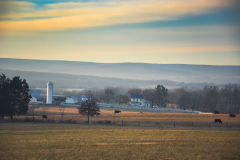 Eisenhower Farm