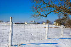 Eisenhower Farm
