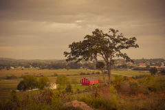 McLean Farm