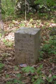 123rd New York Infantry (Skirmish Line Marker)